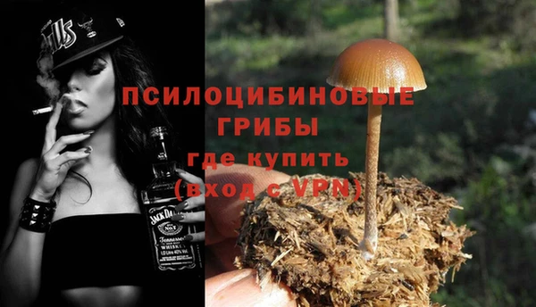 соль курить ск Горнозаводск