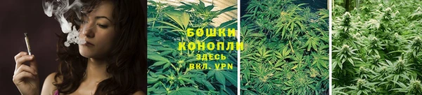 мяу мяу кристалл Корсаков