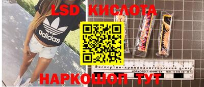 гидропоника Кунгур