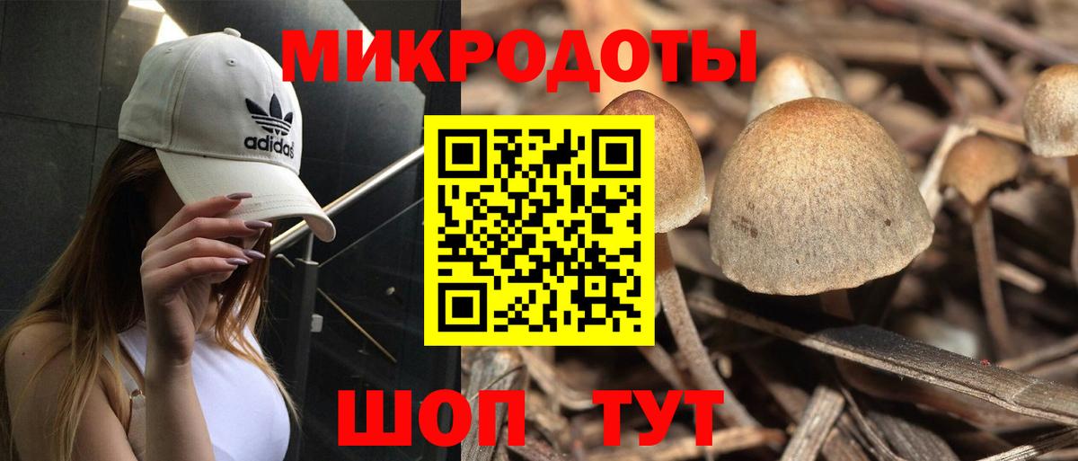 Галлюциногенные грибы прущие грибы  Вход с VPN  Ковров 